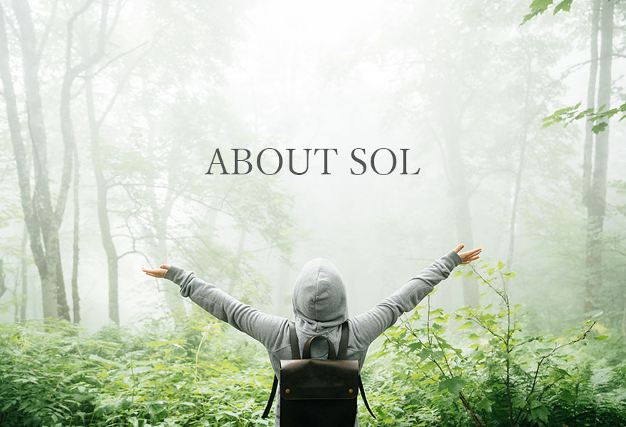 ABOUT SOL