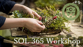 SOL365Workshop