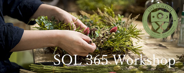 SOL365Workshop